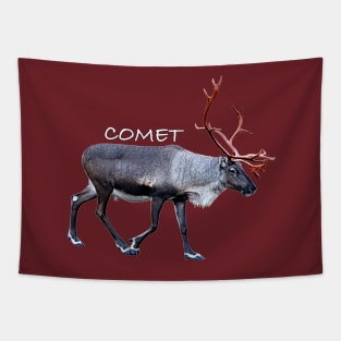 Comet Tapestry