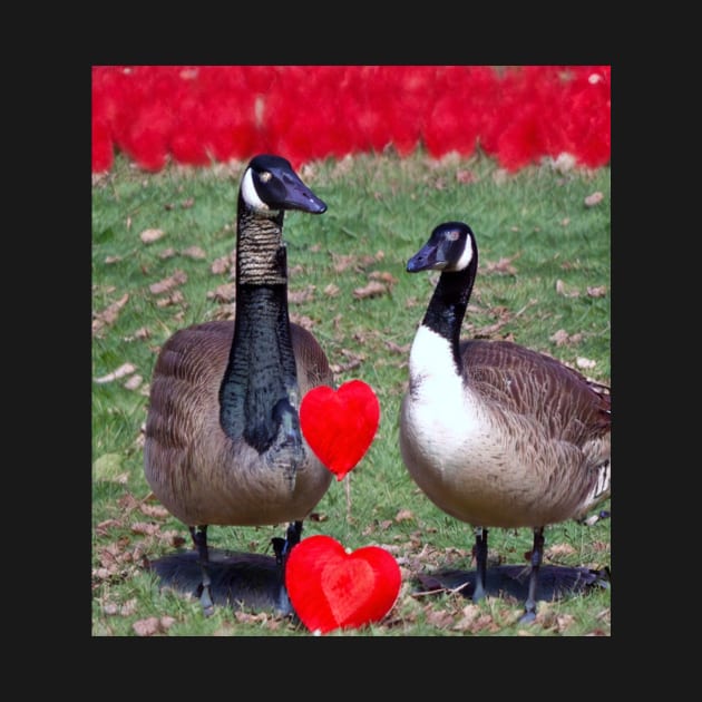 goose love Valentines by Catbrat