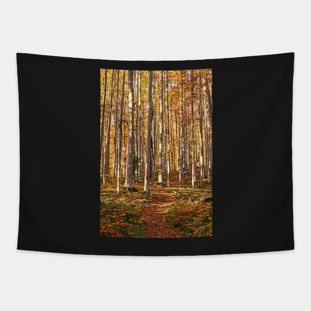 Deciduous forest with big trees Tapestry by naturalis