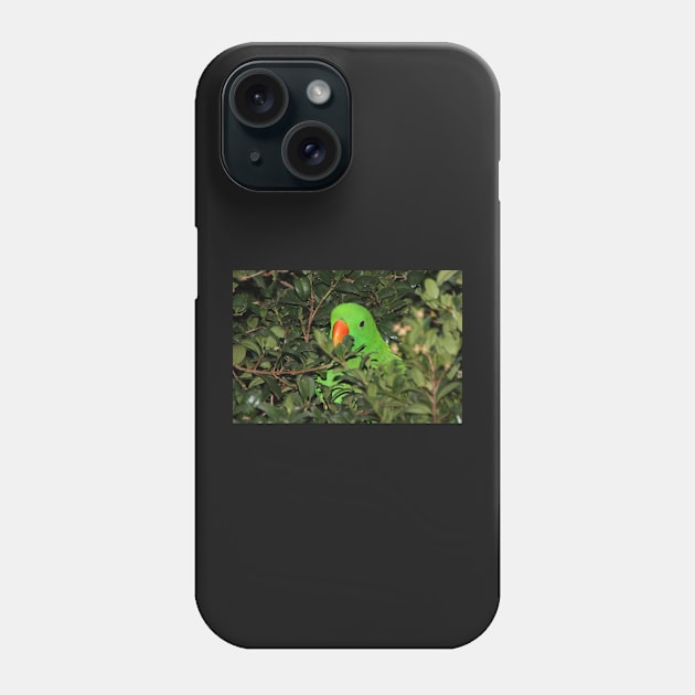 Hiding Out - Male Eclectus Parrot #2 Phone Case by Carole-Anne