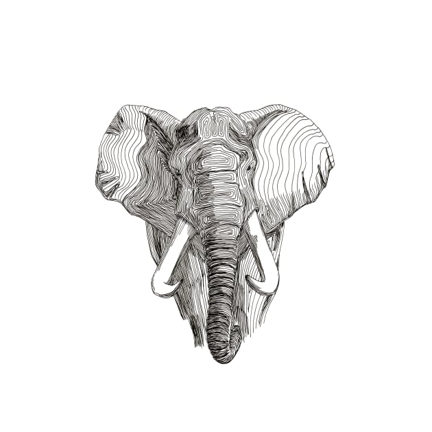 African Elephant by WTW