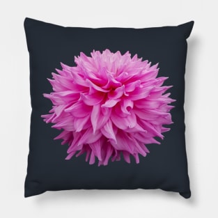 Cutout Floral Photo Pink Pom Pom Flower Pillow