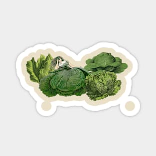 Lettuce Experience Ennui Together Magnet