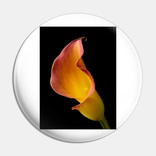 Wonderful Red Yellow Calla lily Pin