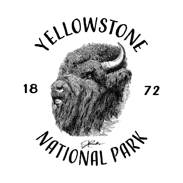 Yellowstone National Park, Tough Old Bison by jcombs