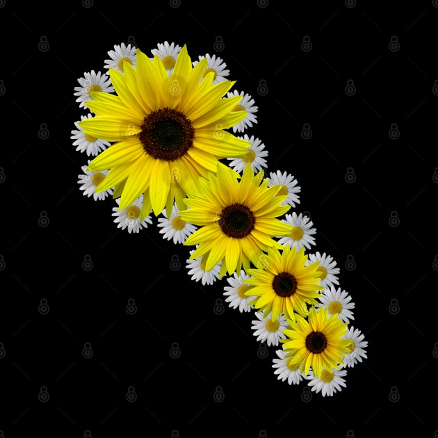 sunflower daisy bloom floral flowers by rh_naturestyles