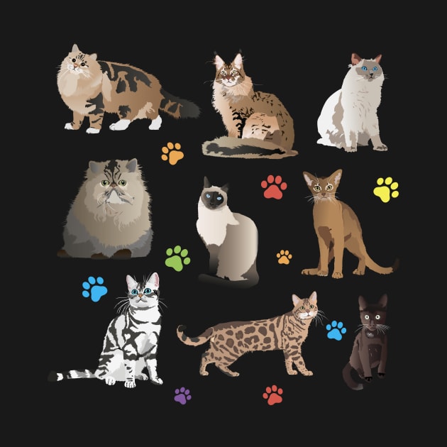 Various Beautiful Cats by NorseTech