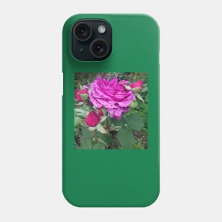 Pink roses photograph Phone Case