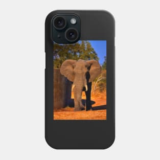 Kruger Elephant Phone Case