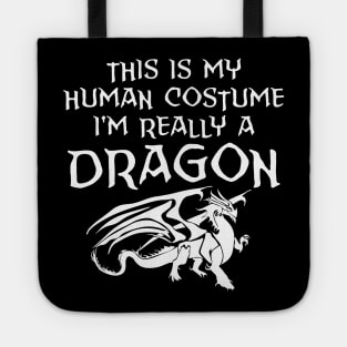 This is my human costume I'm really a dragon Tote