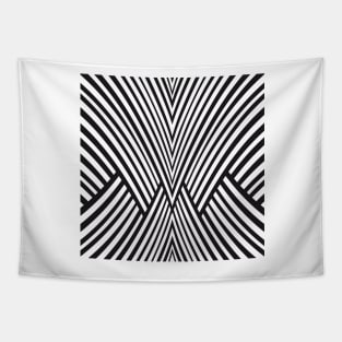 Abstract Black And White Tapestry