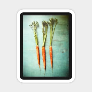 Three Carrots Magnet