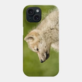 Arctic Wolf Pup Phone Case