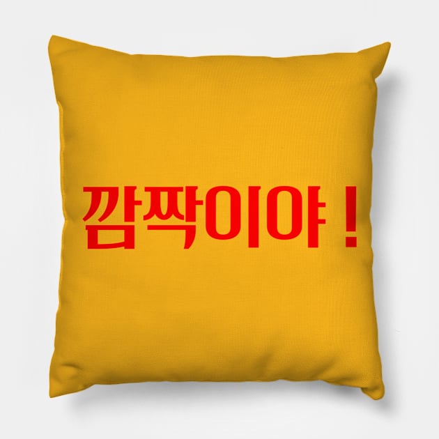 Hangeul I was afraid ! Pillow by Kim Hana