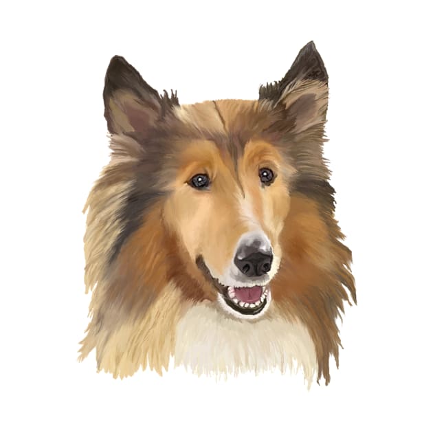 Collie on White Background by ArtistsQuest