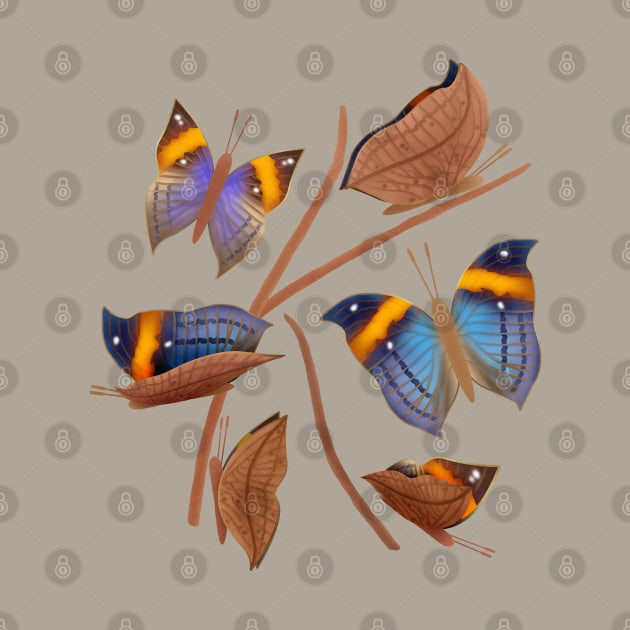 Orange oakleaf butterflies by CleanRain3675