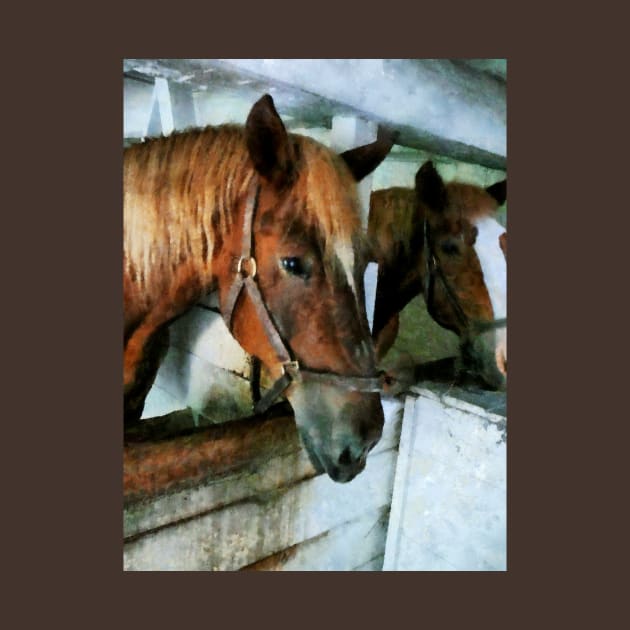 Horses - Brown Horse in Stall by SusanSavad