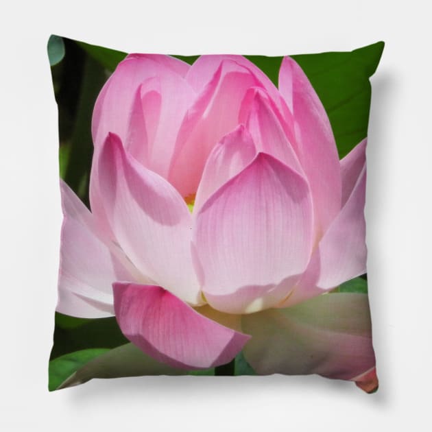 Pink Lotus Pillow by BluedarkArt