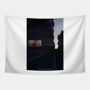 Phoebe Bridgers Punisher Album Cover Tapestry for Sale by