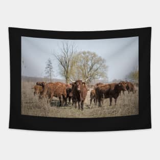 Bovine Animals Tapestry