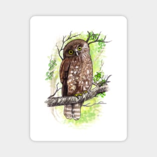 Morepork Owl Watercolour Magnet