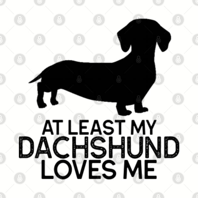 At Least My Dachshund Loves Me graphic | Dachshund | Weiner Dog Shirt | Dog Lover | Dog Mom & Dad by HawtDogPrints