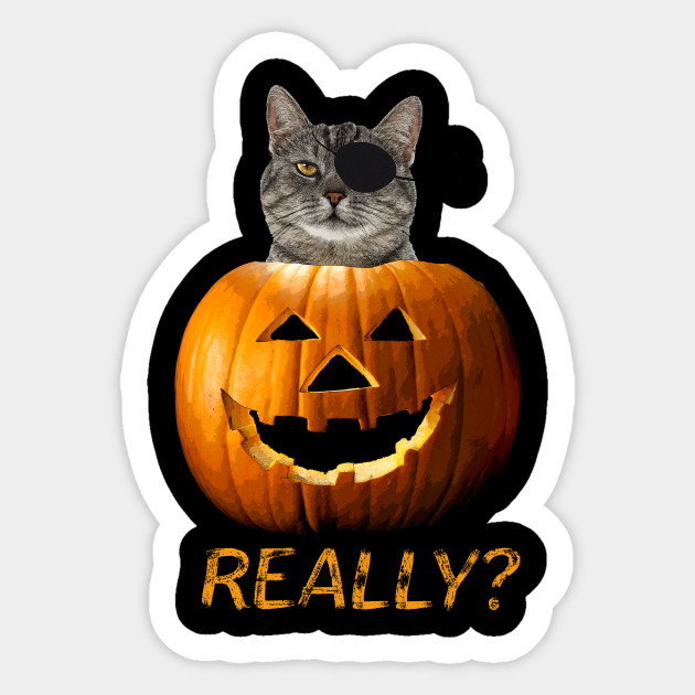 Halloween Trick Treat Cat Jack O Lantern Cat Jack O Lantern
