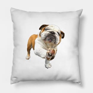 Bulldog Shake Shake Paws! Pillow