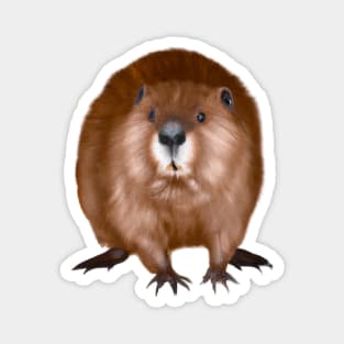 Cute Beaver Drawing Magnet