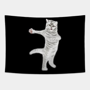 Funny Dancing Cat Lovers Gift Tapestry