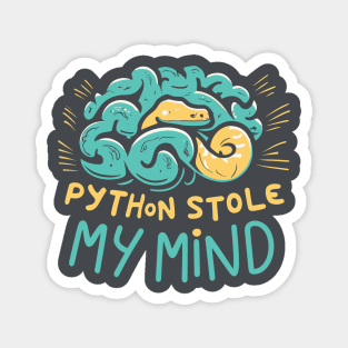 Python stole my mind Magnet