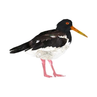 Oystercatcher T-Shirt