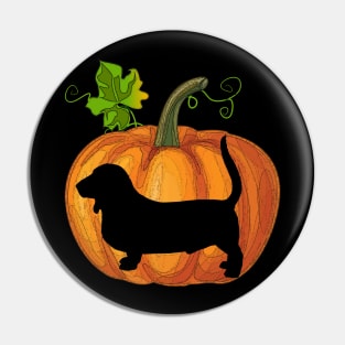 Basset hound in pumpkin Pin