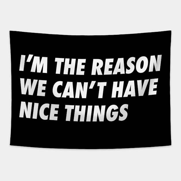 Can't have nice things Tapestry by Joebarondesign