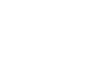 I Kissed A Shitzu Magnet