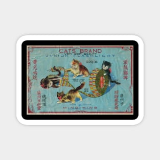 VINTAGE FIRECRACKER CATS BRAND Magnet