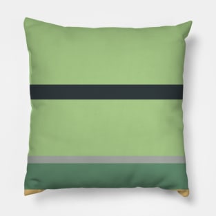 An admirable variety of Greyish, Charcoal, Slate Green, Pale Olive Green and Sand stripes. Pillow