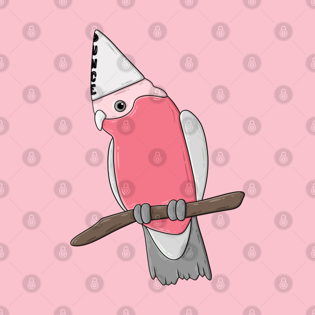 Dunce Galah by brookeleighart