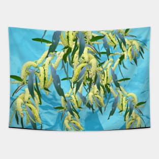 Beautiful Australian Wattle blooms against a textured blue background Tapestry