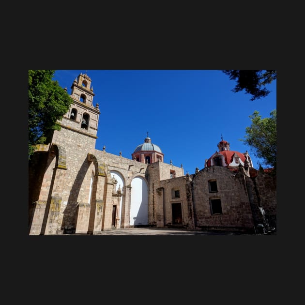 Temple del Carmen, Morelia Mexique by franck380