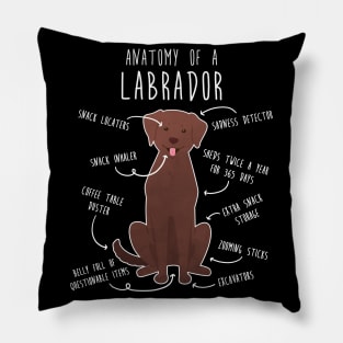 Chocolate Labrador Retriever Dog Anatomy Pillow