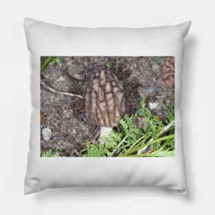 Wild black morel mushroom Pillow