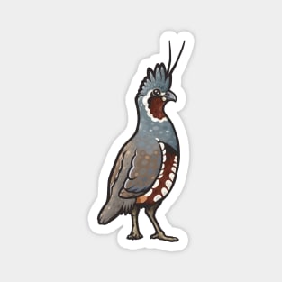 Mountain Quail Magnet