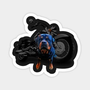 dog on motorcycle Rottweiler  on motorcycle Magnet