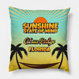 Citrus Ridge Florida - Sunshine State of Mind Pillow