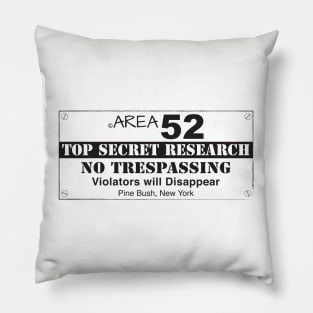 TOP SECRET RESEARCH Pine Bush NY Pillow