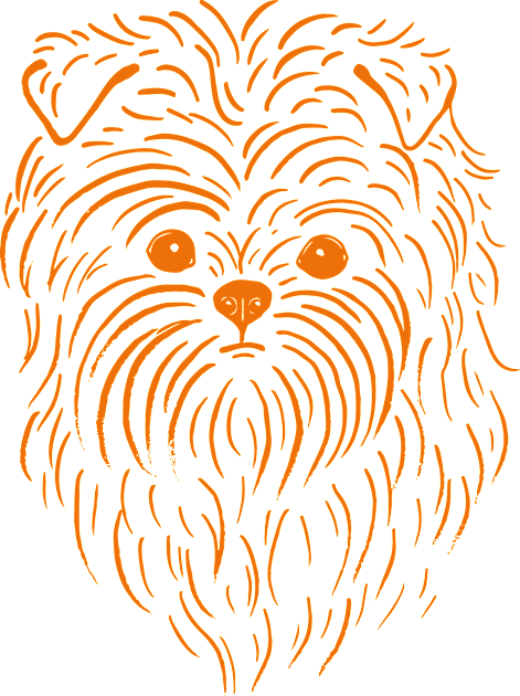 Affenpinscher (Yellow and Orange) Kids T-Shirt by illucalliart