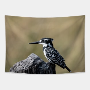 Pied Kingfisher Tapestry