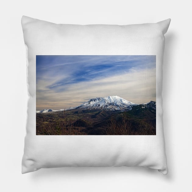 850_2870 Pillow by wgcosby