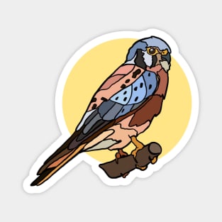 American Kestral Magnet